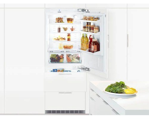 Купить  Встраиваемый холодильник Liebherr ECBN 5066 в интернет-магазине Мега-кухня 2