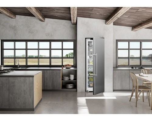 Купить  Холодильник Liebherr RBsdd 5250 в интернет-магазине Мега-кухня 9