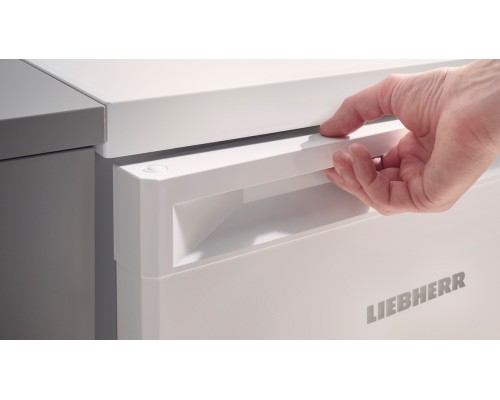 Купить Отдельностоящий холодильник Liebherr Re 1201-20 001 в интернет-магазине Мега-кухня 4 Купить Отдельностоящий холодильник Liebherr Re 1201-20 001 в интернет-магазине Мега-кухня 4