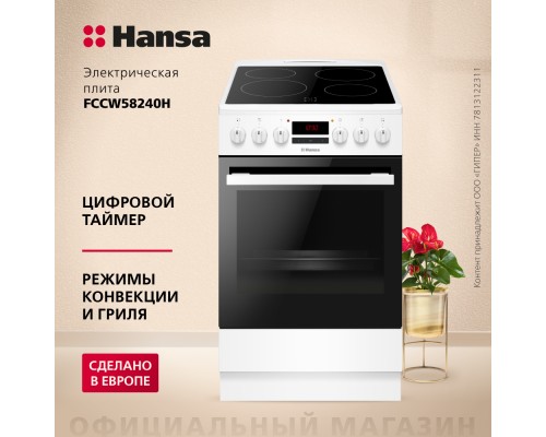 Купить  Электрическая плита Hansa FCCW58240H в интернет-магазине Мега-кухня 1