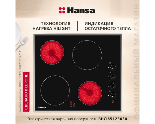 Купить  Электрическая панель Hansa BHCI65123030 в интернет-магазине Мега-кухня 2