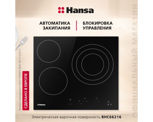 Купить  Электрическая панель Hansa BHC66216 в интернет-магазине Мега-кухня 2