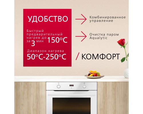 Купить  Духовой шкаф Hansa BakingPro BOEW683020 в интернет-магазине Мега-кухня 2