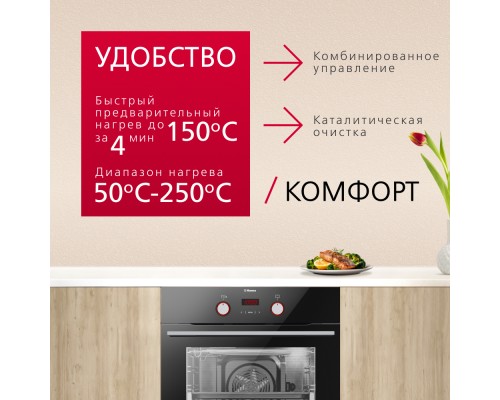 Купить  Духовой шкаф Hansa BOES69475 в интернет-магазине Мега-кухня 2