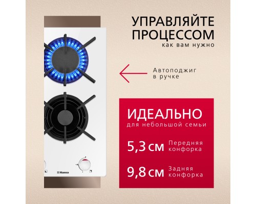 Купить  Газовая панель Hansa BHKW310300 в интернет-магазине Мега-кухня 4