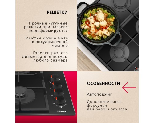 Купить  Газовая панель Hansa BHKS620531 в интернет-магазине Мега-кухня 5
