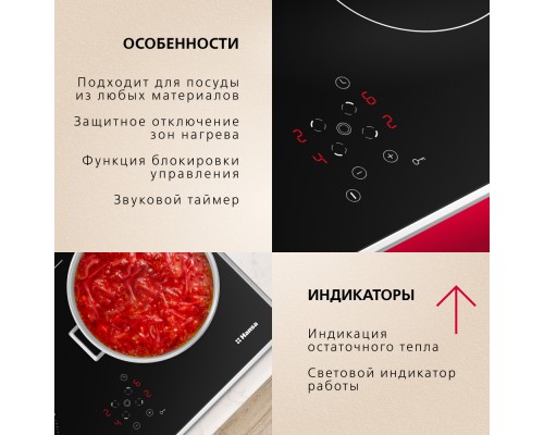Купить  Электрическая панель Hansa BHCI66706 в интернет-магазине Мега-кухня 4