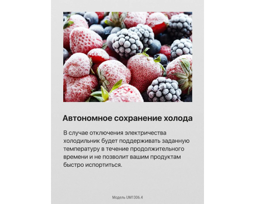Купить  Встраиваемый холодильник Hansa UM1306.4 в интернет-магазине Мега-кухня 5