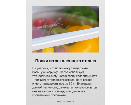 Купить  Встраиваемый холодильник Hansa BK2385.2N в интернет-магазине Мега-кухня 6