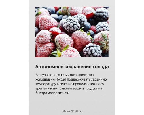 Купить  Встраиваемый холодильник Hansa BK2385.2N в интернет-магазине Мега-кухня 8
