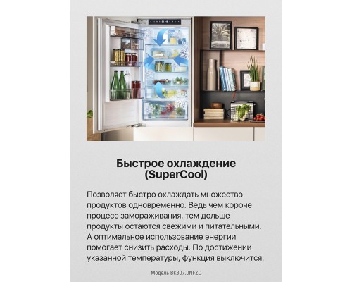 Купить  Встраиваемый холодильник Hansa BK307.0NFZC в интернет-магазине Мега-кухня 6