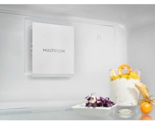 Купить  Холодильник Electrolux RRT5MF38W1 в интернет-магазине Мега-кухня 1