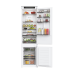 Купить  Холодильник Haier HBW5519ERU в интернет-магазине Мега-кухня 1