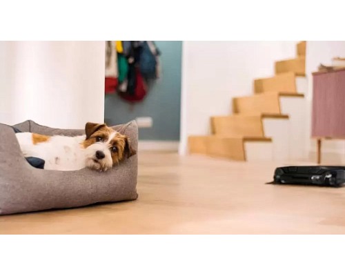 Купить  Робот-пылесос Miele Scout RX3 OBSW черный в интернет-магазине Мега-кухня 7