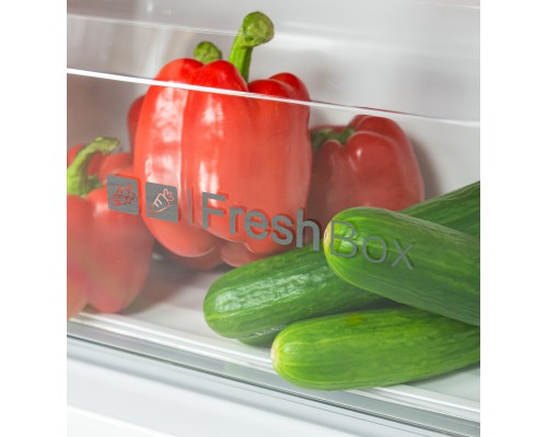 Купить  Отдельностоящий двухкамерный холодильник LEX LSB530StGID в интернет-магазине Мега-кухня 4