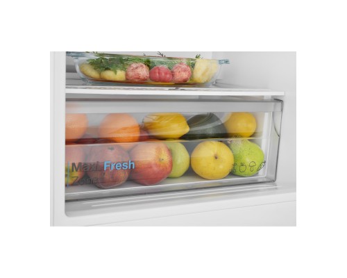 Купить  Встраиваемый холодильник Scandilux CSBI 256 M в интернет-магазине Мега-кухня 8