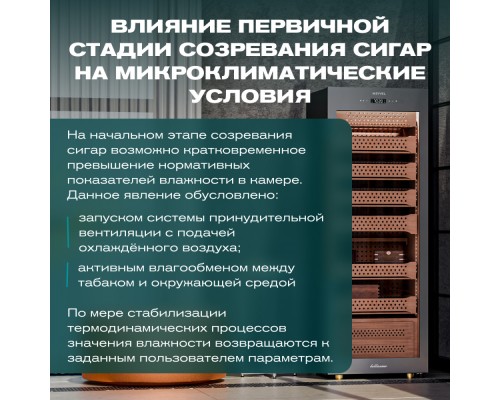 Купить Хьюмидор шкаф Meyvel MC-376BK (PRO) в интернет-магазине Мега-кухня 3 Купить Хьюмидор шкаф Meyvel MC-376BK (PRO) в интернет-магазине Мега-кухня 3