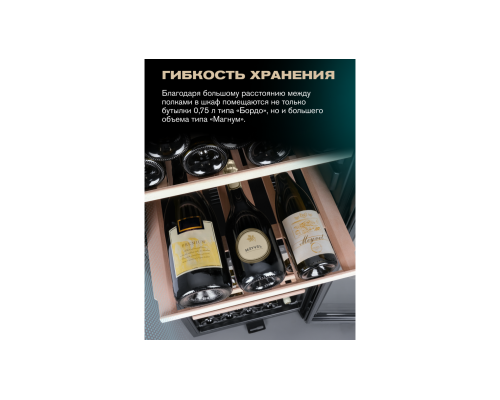 Купить Винный шкаф Meyvel MV98-KBF2 в интернет-магазине Мега-кухня 7 Купить Винный шкаф Meyvel MV98-KBF2 в интернет-магазине Мега-кухня 7