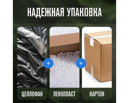 Купить  Автохолодильник Alpicool NL50 (12/24) в интернет-магазине Мега-кухня 12