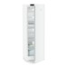 Купить Холодильник Liebherr Rd 5220-22 001 в интернет-магазине Мега-кухня 3