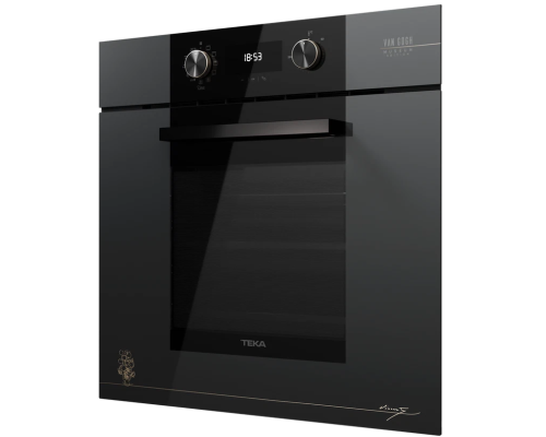 Купить  Духовой шкаф с функцией готовки на пару Teka Van Gogh HLB 84 P VG в интернет-магазине Мега-кухня 2