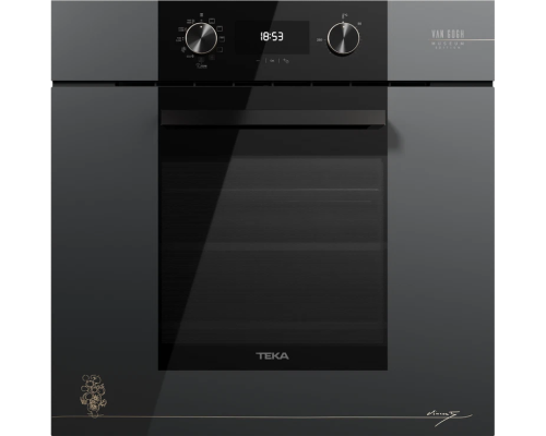 Купить Духовой шкаф с функцией готовки на пару Teka Van Gogh HLB 84 P VG в интернет-магазине Мега-кухня