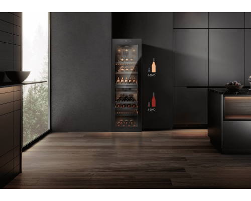 Купить  Винный шкаф Casarte CASWS170GDAI в интернет-магазине Мега-кухня 15